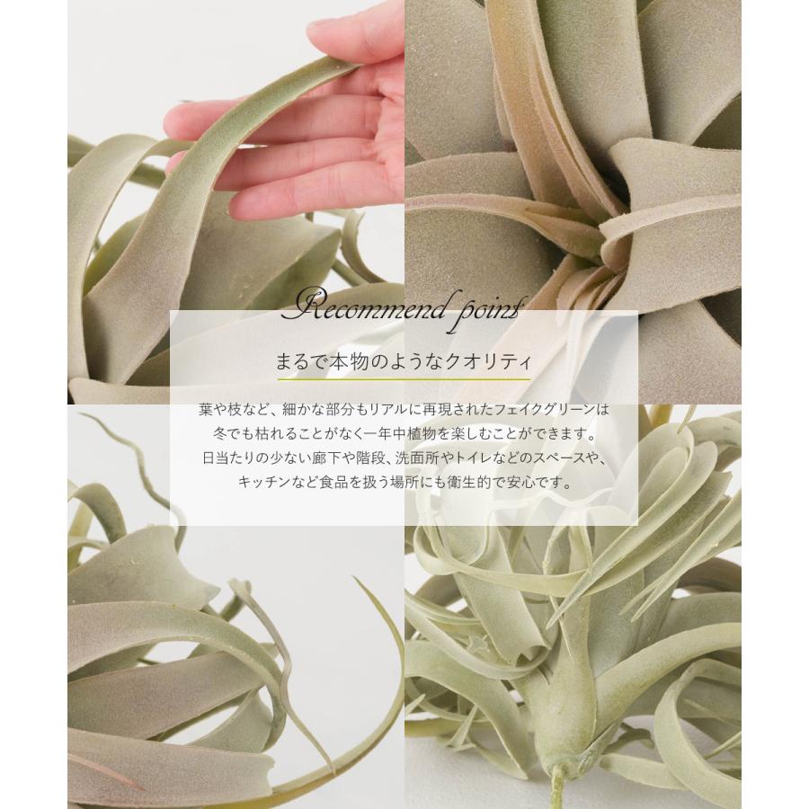 キセログラフィカ フェイクグリーン 造花 人工 観葉植物 リアル 卓上