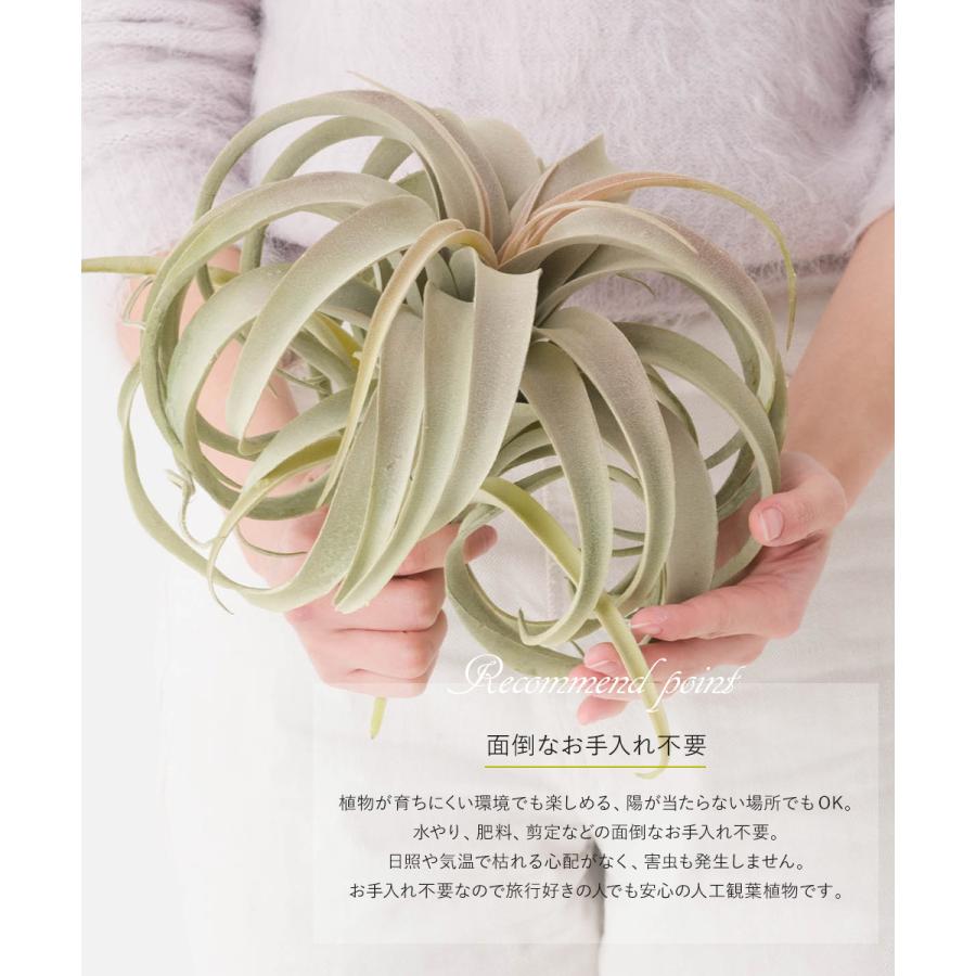 キセログラフィカ フェイクグリーン 造花 人工 観葉植物 リアル 卓上 