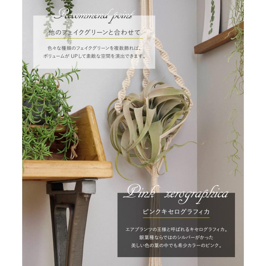 キセログラフィカ フェイクグリーン 造花 人工 観葉植物 リアル 卓上