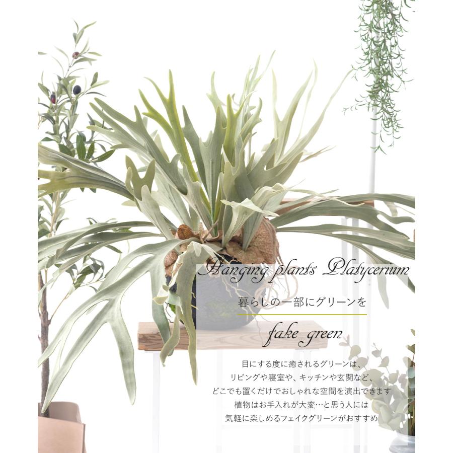 コウモリラン 壁掛け ビカクシダ 人工 観葉植物 フェイク リアル コウモリラン 壁掛け ビカクシダ 人工 観葉植物 フェイク リアル