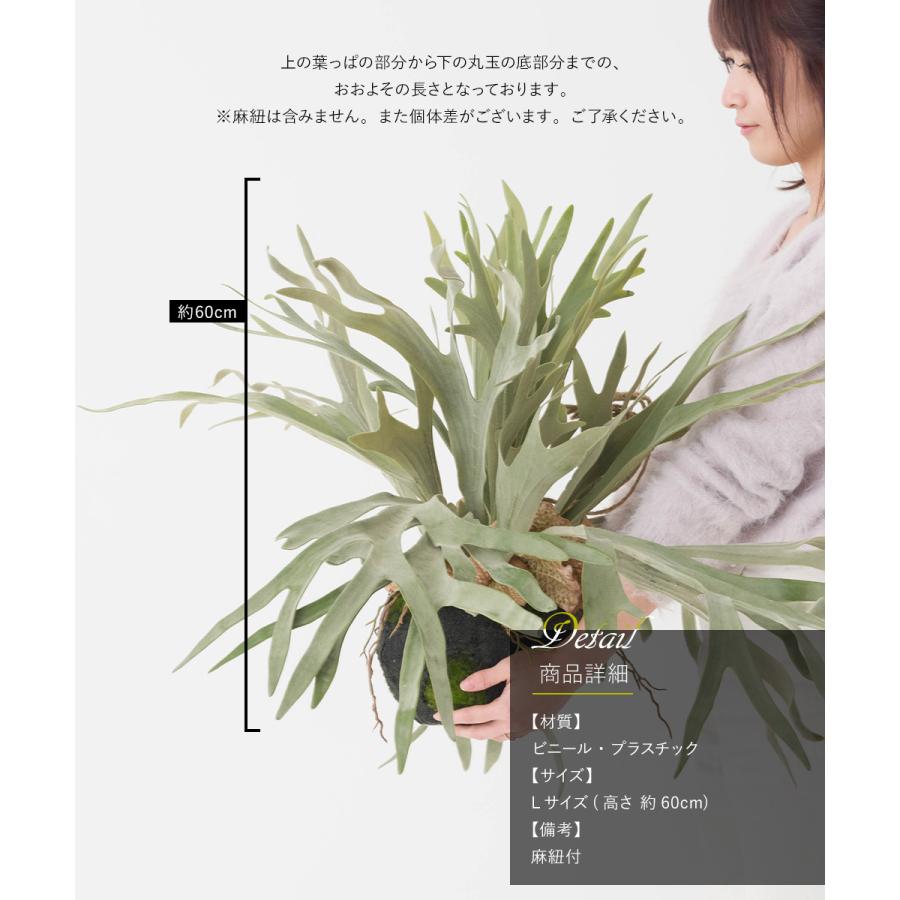 コウモリラン 壁掛け ビカクシダ 人工 観葉植物 フェイク リアル