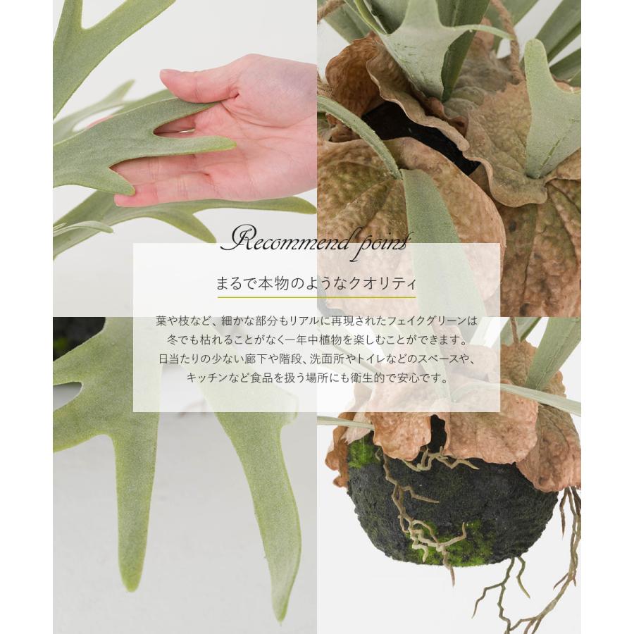 コウモリラン 壁掛け ビカクシダ 人工 観葉植物 フェイク リアル 吊り下げ ハンギング 花 フェイクグリーン 造花  壁 おしゃれ 中型 インテリア CSZ | ブランド登録なし | 03