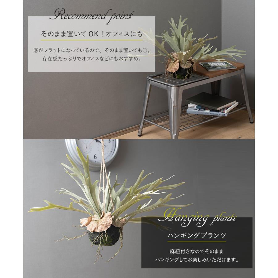 コウモリラン 壁掛け ビカクシダ 人工 観葉植物 フェイク リアル 吊り下げ ハンギング 花 フェイクグリーン 造花  壁 おしゃれ 中型 インテリア CSZ | ブランド登録なし | 05