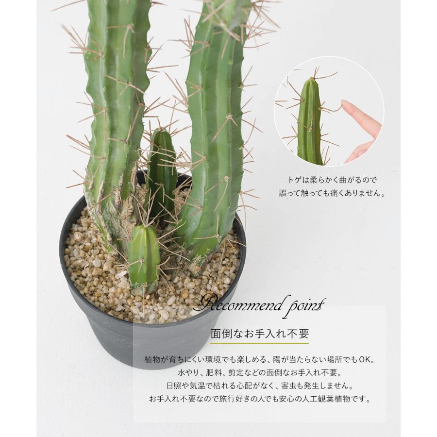 フェイクグリーン サボテン 人工 観葉植物 造花 リアル 大型 おしゃれ 男前インテリア 多肉植物 柱サボテン ディスプレイ 置物 ナチュラル C-F-1 | ブランド登録なし | 04