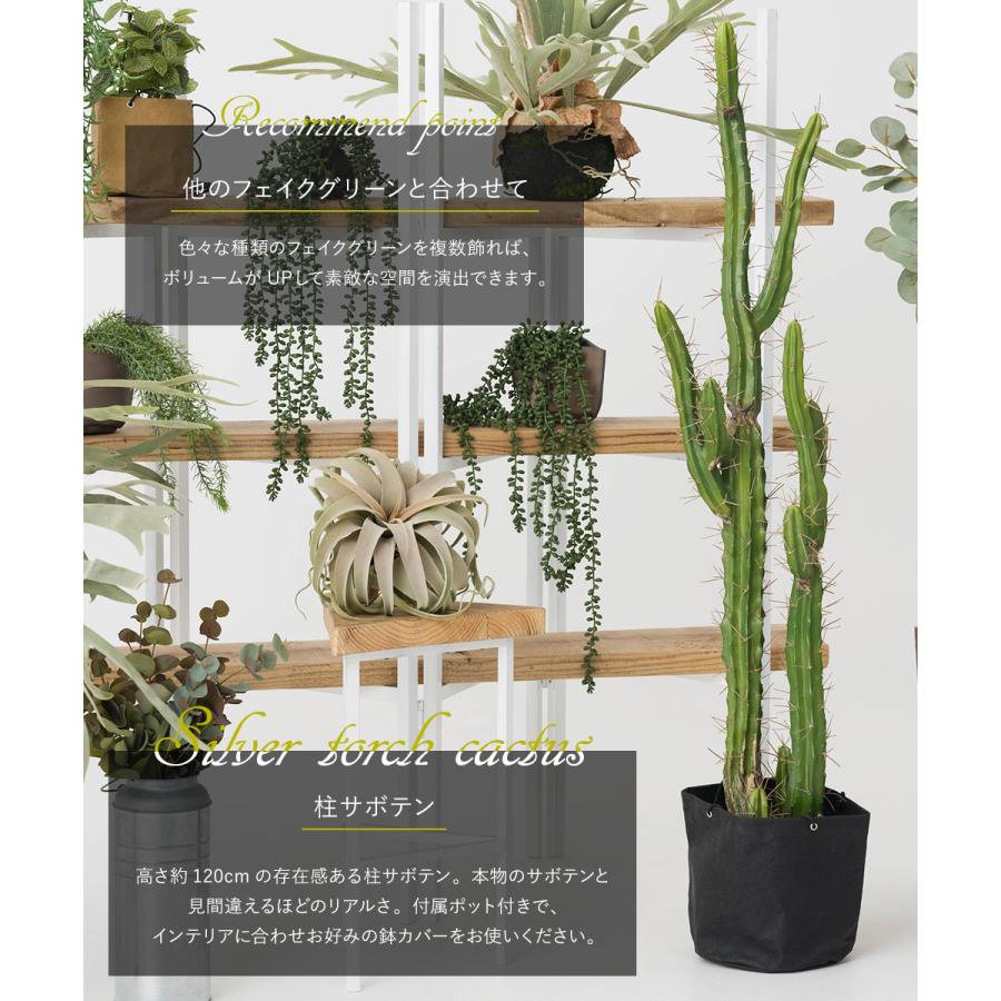 フェイクグリーン サボテン 人工 観葉植物 造花 リアル 大型 おしゃれ 男前インテリア 多肉植物 柱サボテン ディスプレイ 置物 ナチュラル C-F-1 | ブランド登録なし | 05