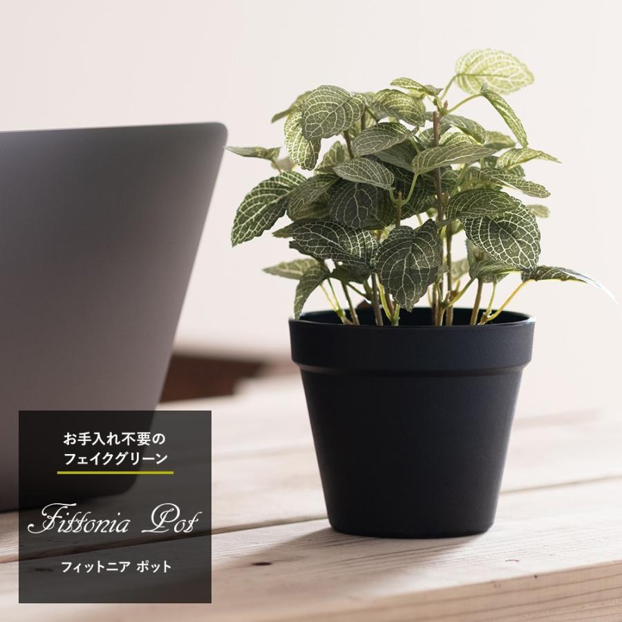 人工観葉植物 フィットニア 18cm フェイクグリーン 造花 光触媒