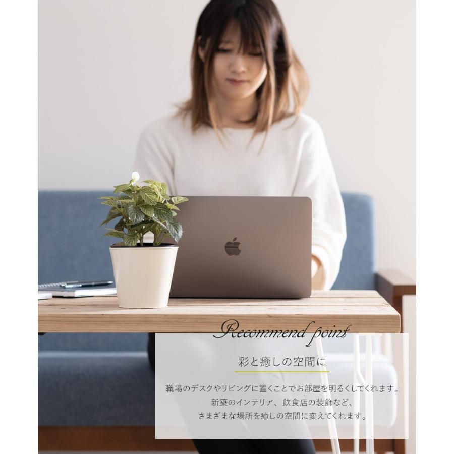 ◆日本製◇◇◇フェイクグリーン フィットニアM（フロック加工） 高さ48cm フェイクグリーン 人工 観葉植物 観葉樹 おしゃれ フィットニア