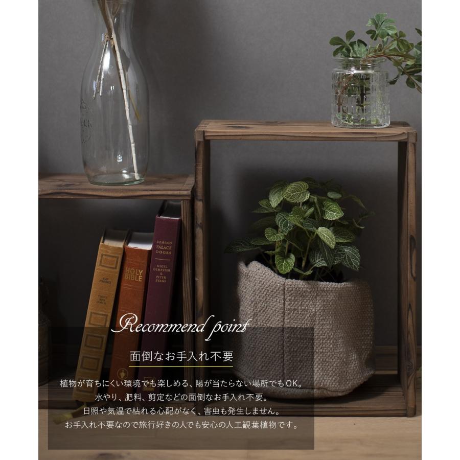フェイクグリーン 人工 観葉植物 観葉樹 おしゃれ フィットニア ポット