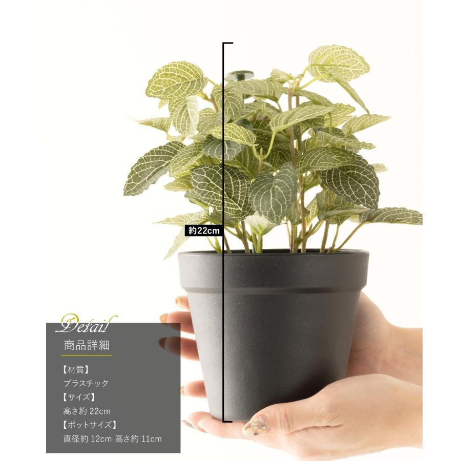 フェイクグリーン 人工 観葉植物 観葉樹 おしゃれ フィットニア