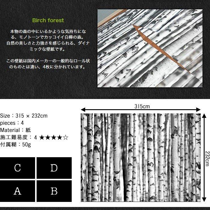 壁紙 張り替え 自分で diy クロス おしゃれ 木目 輸入壁紙 白樺の森 Birch forest 紙製 粉のり付き C-F-1_4