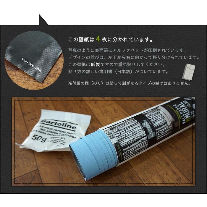 壁紙 張り替え 自分で diy クロス おしゃれ 木目 輸入壁紙 白樺の森 Birch forest 紙製 粉のり付き C-F-1_5
