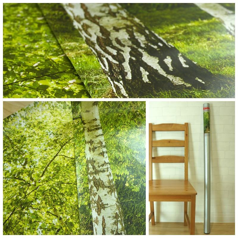 壁紙 張り替え 自分で Diy クロス おしゃれ 森の中 輸入壁紙 Birkenallee 白樺の散歩道 2 1717 紙製 Kger041 ビニールカーテンのcレンジャー 通販 Yahoo ショッピング