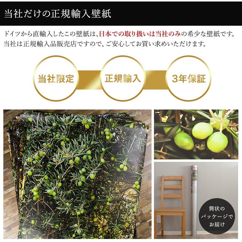 絶対一番安い 壁紙 張り替え 自分で Diy クロス おしゃれ 樹木 輸入壁紙 Olive Tree オリーブツリー 8 531 紙製 Kger068 ビニールカーテンのcレンジャー 通販 Yahoo ショッピング 即発送可能 Www Kingfishswimming Com