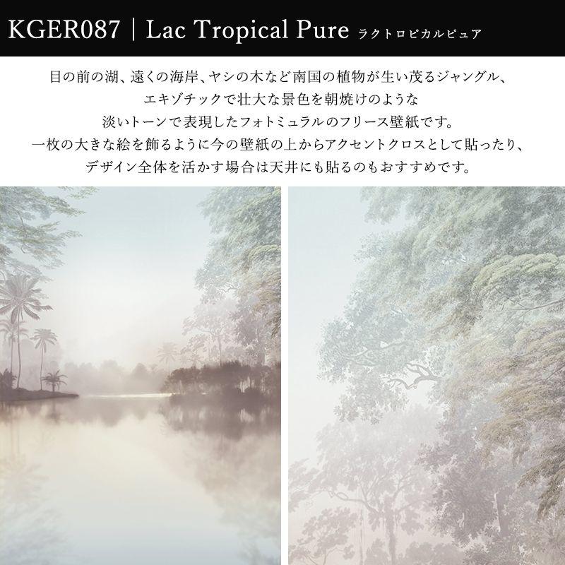 壁紙 張り替え 自分で diy クロス おしゃれ ボタニカル 輸入壁紙 ラクトロピカルピュア Lac Tropical Pure R2-009 フリース製 CSZ｜c-ranger｜02