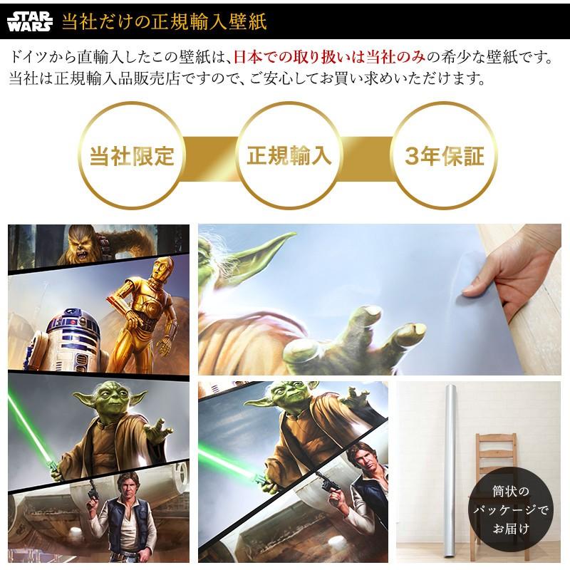壁紙 張り替え 自分で diy クロス おしゃれ スターウォーズ 輸入壁紙 Star Wars Moments Rebels VD-026 不織布 CSZ | 友安製作所 | 02