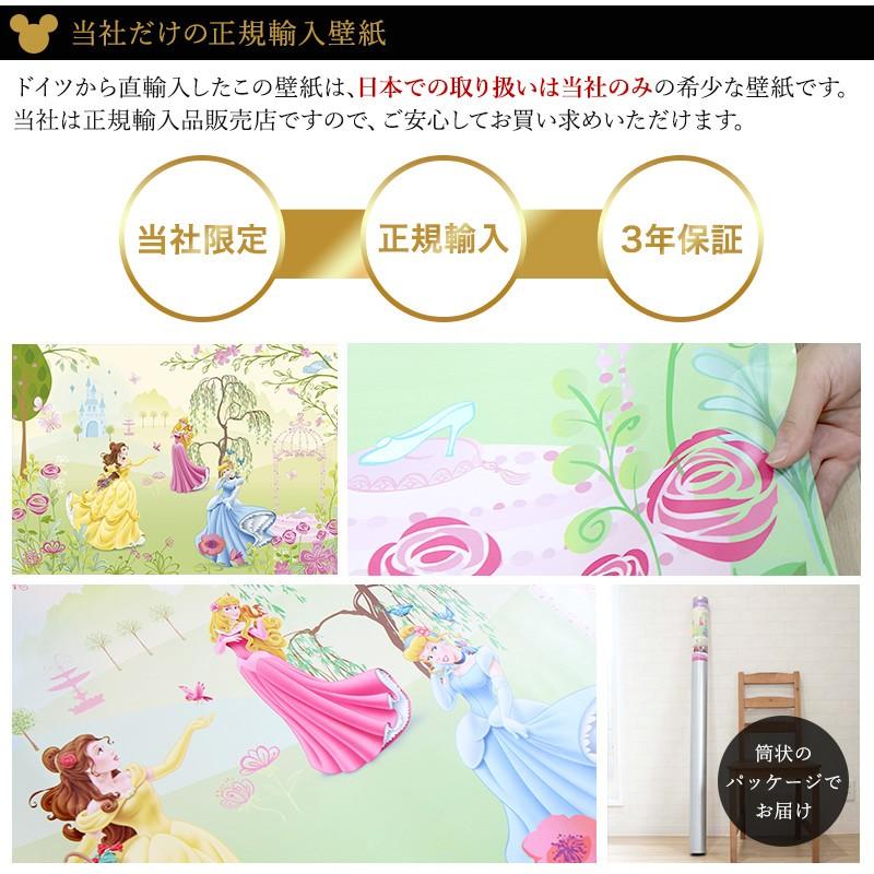 壁紙 張り替え 自分で Diy クロス おしゃれ ディズニー プリンセス 輸入壁紙 Princess Garden 1 417 紙製 Kgerd016 ビニールカーテンのcレンジャー 通販 Yahoo ショッピング