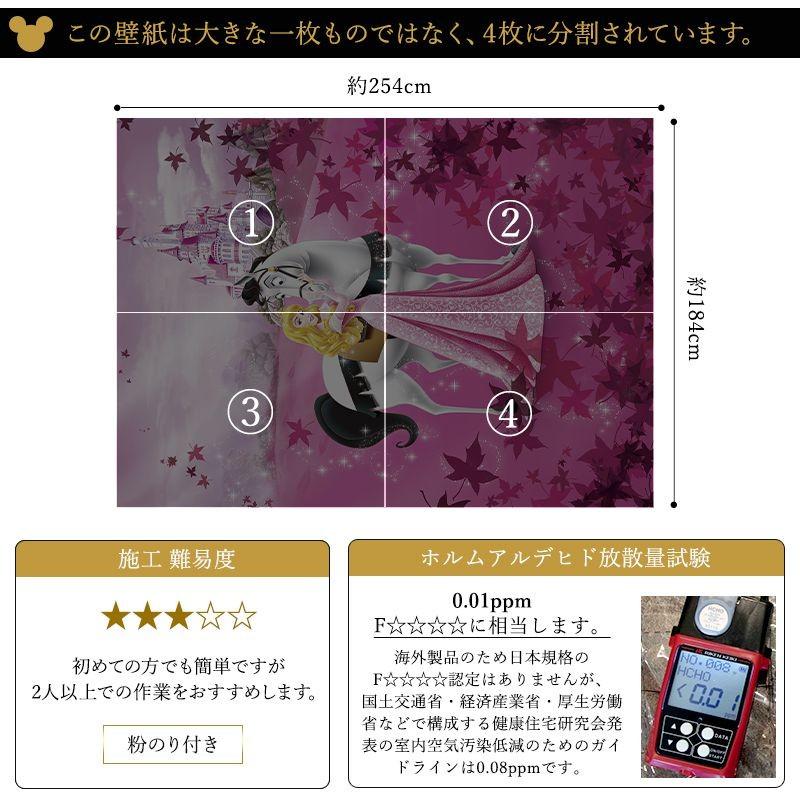 壁紙 張り替え 自分で Diy クロス おしゃれ ディズニー 眠れる森の美女 輸入壁紙 Sleeping Beauty 4 495 紙製 Csz Kgerd039 ビニールカーテンのcレンジャー 通販 Yahoo ショッピング