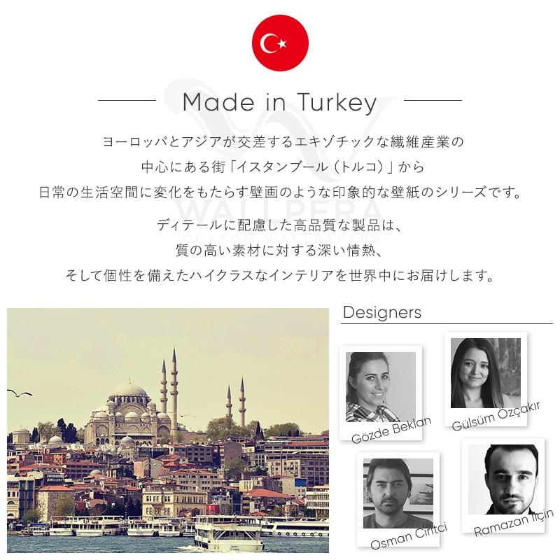 海外並行輸入正規品 壁紙 おしゃれ 輸入壁紙 不織布 Wallpera Painted Csz 壁紙 Www 11thspace Com