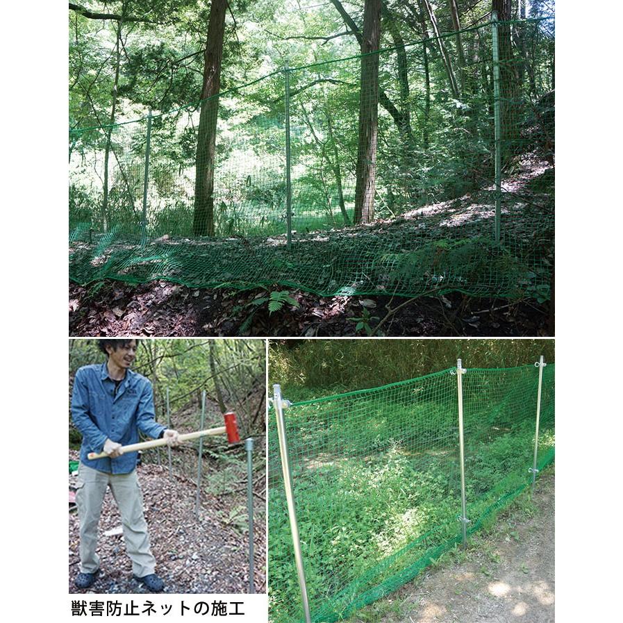 杭 くい丸 48.6mm×1500mm 打ち込み杭 ※個人様宛への配送不可 杭 くい丸 48.6mm×1500mm 打ち込み杭 ※個人様宛への配送不可
