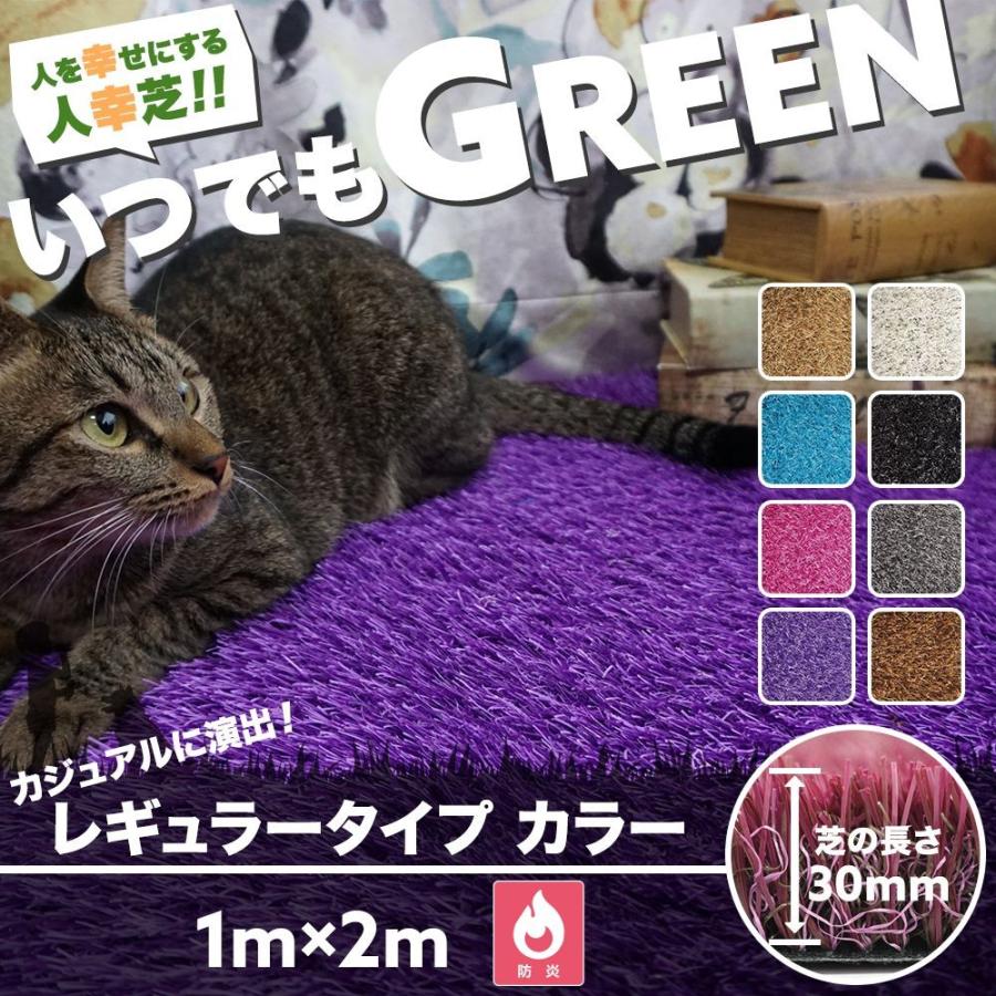 7603円 送料0円 人工芝 ベランダ Diy ブラック ホワイト いつでもgreen レギュラータイプカラー 1 2m 直送品 Jq