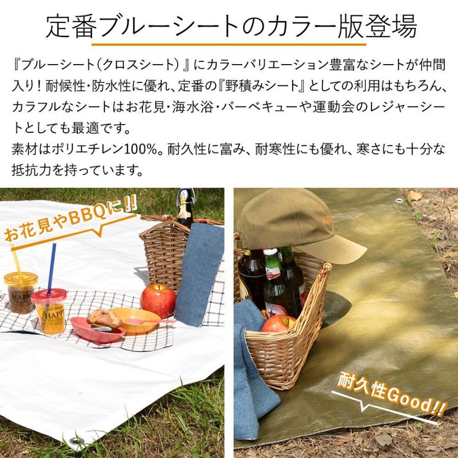 レジャーシート 防水 ビニールシート 厚手＃3000 色 養生シート 作業