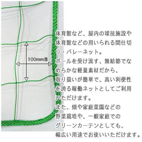 友安製作所 ネット 網 バレーボールネット 間仕切りネット グリーンカーテン 100mm目 NET29 幅30〜100cm 丈201 ...