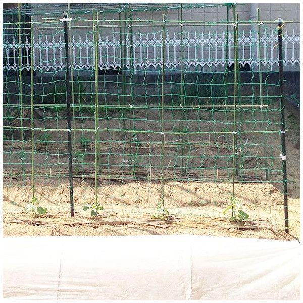 ネット 網 バレーボールネット 間仕切りネット グリーンカーテン 100mm目 NET29 幅301〜400cm 丈401〜500cm JQ_2