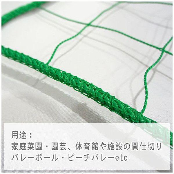 ネット 網 バレーボールネット 間仕切りネット グリーンカーテン 100mm目 NET29 幅301〜400cm 丈401〜500cm JQ_3