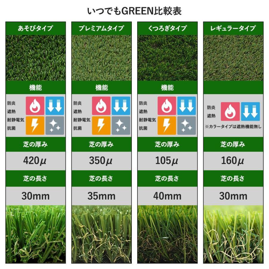 人工芝 いつでもGreen 有料サンプル 20cm×20cm 1枚入 : ビニール