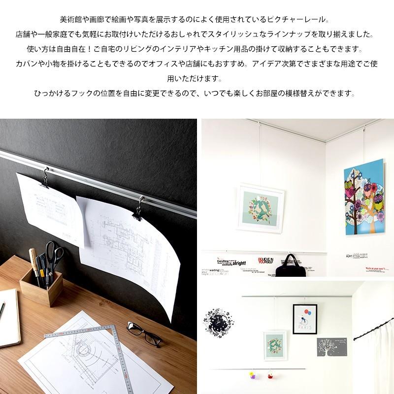 ピクチャーレール 天井付け 壁付け 写真 インテリア 展示用 収納 スタイリッシュタイプ ルーミー17 標準セット 1mまで Jq Pr171s ビニールカーテンのcレンジャー 通販 Yahoo ショッピング