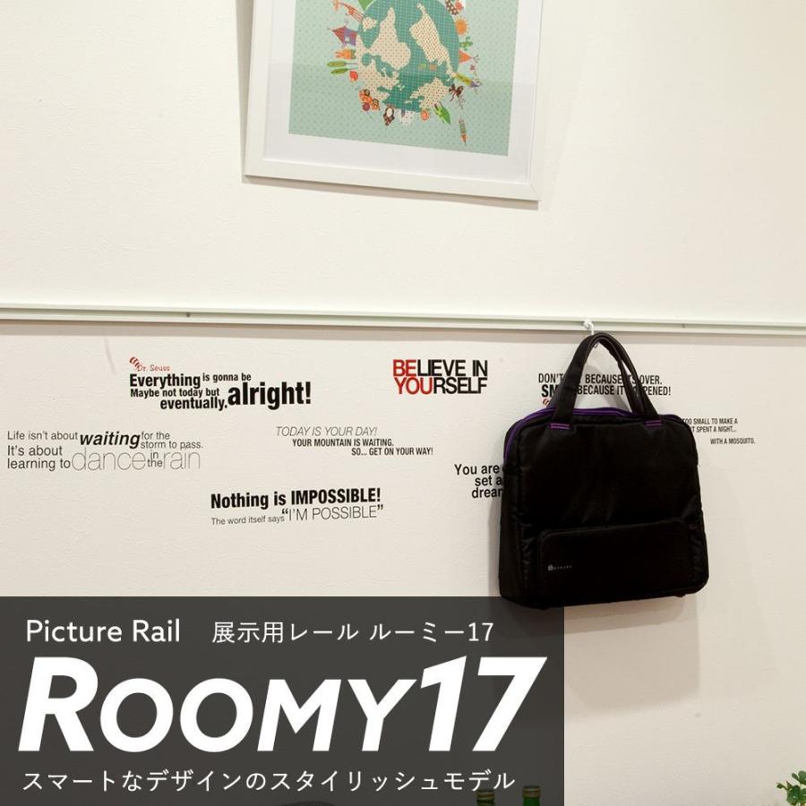 ピクチャーレール 天井付け 壁付け 写真 インテリア 展示用 収納 スタイリッシュタイプ ルーミー17 標準セット 4mまで JQ｜c-ranger