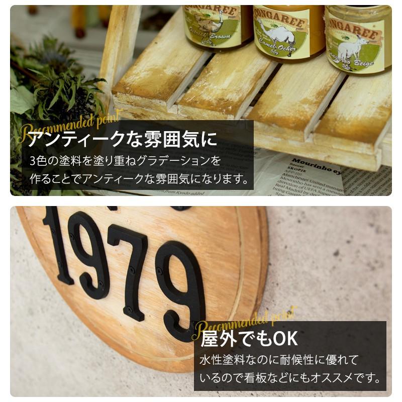 ペンキ 塗料 塗装 水性 アクリル塗料 コンガリー CONGAREE 50g×3色