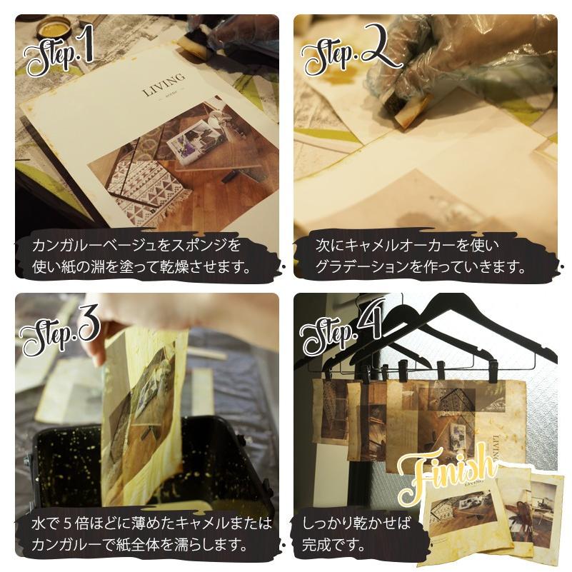 ペンキ 塗料 塗装 水性 アクリル塗料 コンガリー CONGAREE 50g×3色