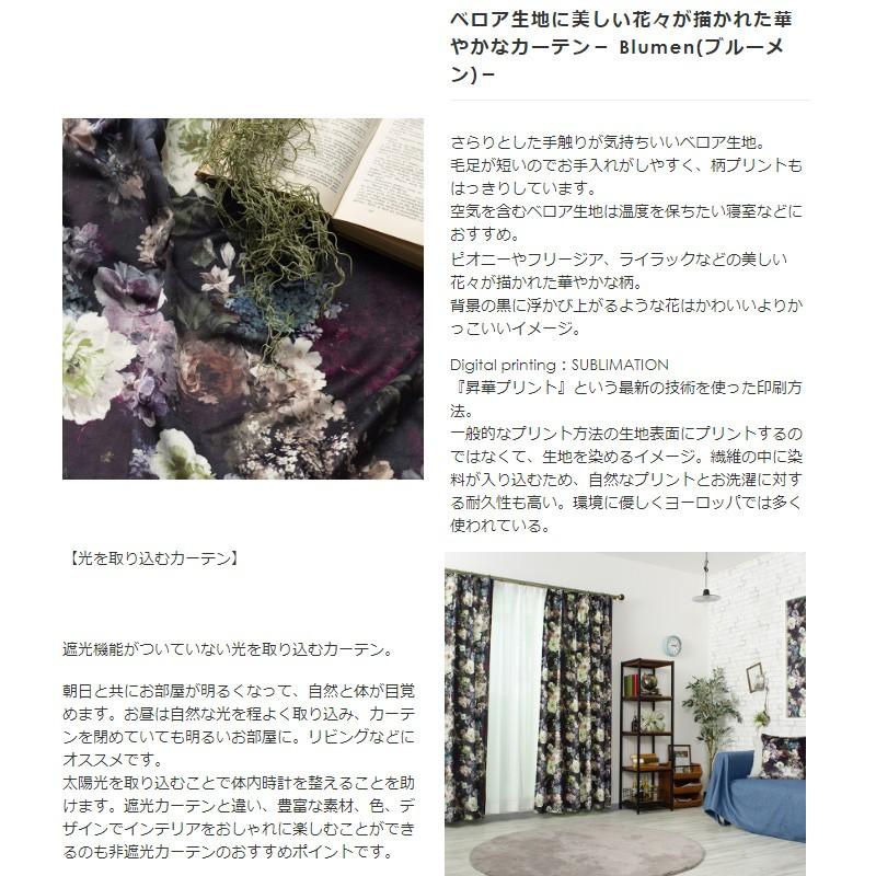 格安人気 ローマンシェード ドラム型 幅51 90cm 丈151 0cm Vh910 ブルーメン 1枚 Okc5 最先端 Www World Of Heating De