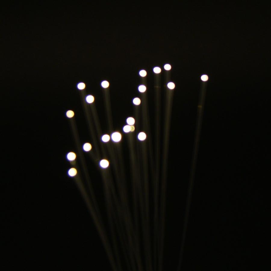 光ファイバー 直径0.75mm 長さ1m 20本 |  | 01