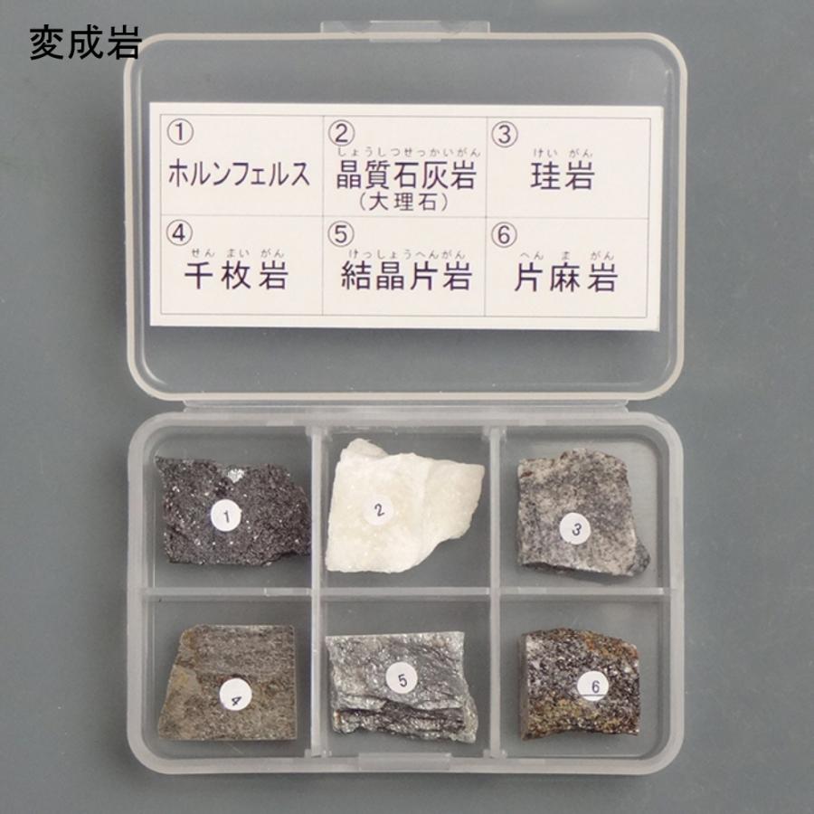 第三惑星 地球の岩石・鉱物セット 30種 |  | 05