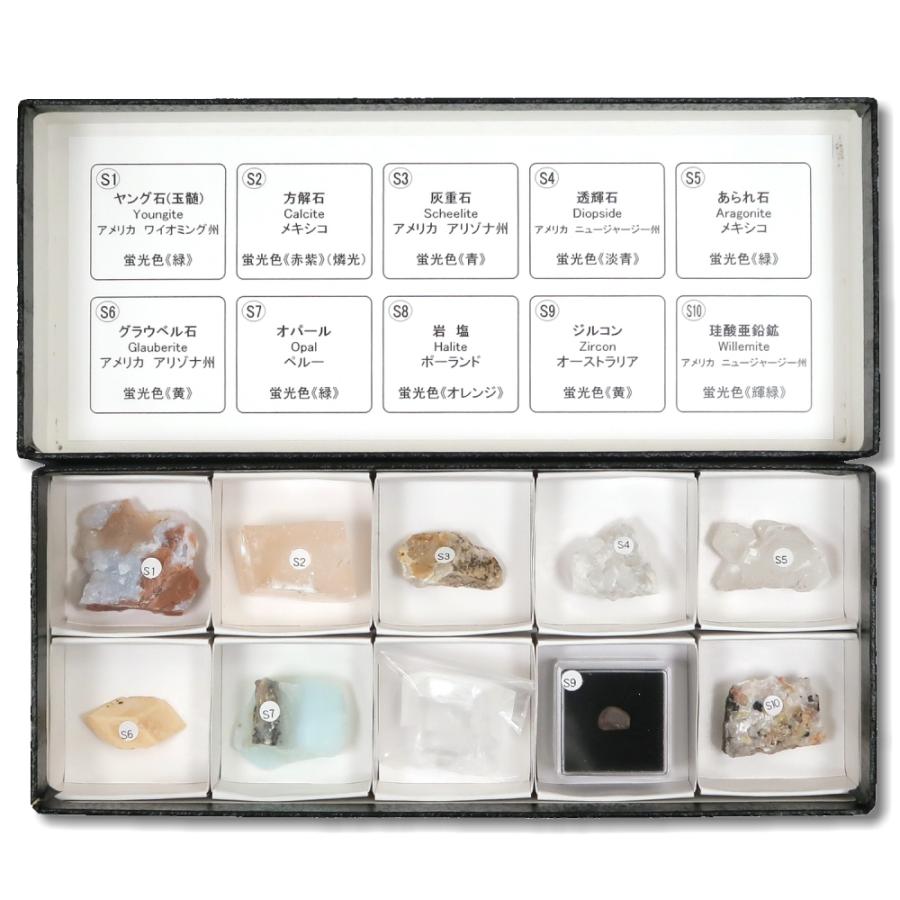 蛍光鉱物標本（短波）１０種 |  | 01