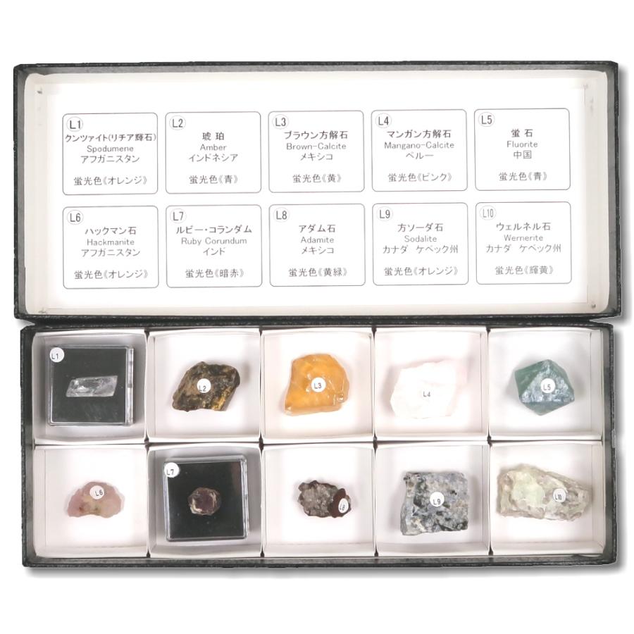 蛍光鉱物標本セット 長波　１０種 |  | 01