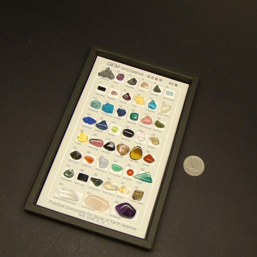 鉱物コレクション　&  図鑑　ルーペ 鉱物コレクション & 図鑑 ルーペ Amazon | ジェムストーン 宝石