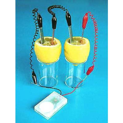 くだもの電池セット | 