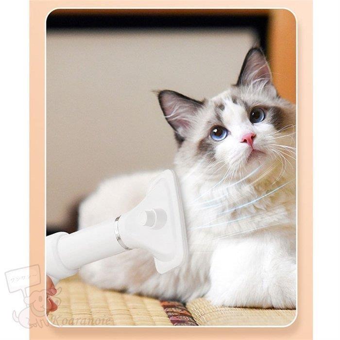 犬 ドライヤー おすすめ シャンプー後 チワワ ドライ ペットドライドライヤー ペット乾燥 ポメラニアン 乾かす 小型犬 快適 素早く乾かす 風量調節 海外輸入 風量調節