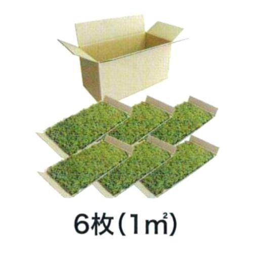 生きてる乾燥苔】 280×580mm 6種類 各1枚 合計1m2 庭園 造園 盆栽 苔玉