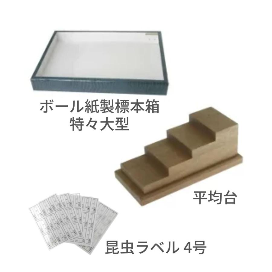 志賀昆虫普及社「本格昆虫標本9点セット 蝶々専用」チョウ トンボ 自由