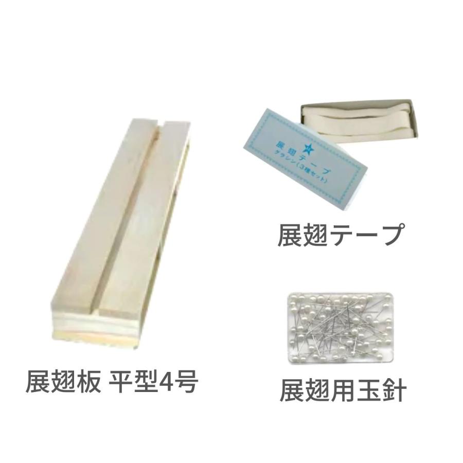 志賀昆虫普及社「本格昆虫標本9点セット 蝶々専用」チョウ トンボ 自由 