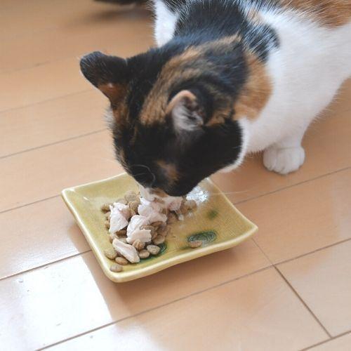【ゴーゴーセール】日本のみのり とり缶80g【40缶セット】 サンユー研究所 鶏缶 鶏肉 犬猫用 ペット用缶詰 保存食 ウェットフード 国産無添加 高品質_4