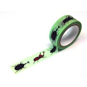 志賀昆蟲普及社　ボール紙製標本箱 特々大型 【3個セット】【マスキングテープ（カブト・クワガタ）1個付き】昆虫標本 志賀昆虫 シガコン シガコン