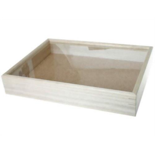 志賀昆蟲普及社 インロー硝子蓋式標本箱 (桐製コルク板敷) 大型 昆虫