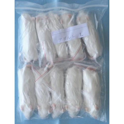 冷凍アダルトマウスlサイズ 約8cm 300匹入り 肉食 クール便発送 猛禽類