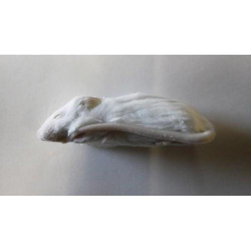 爬虫類ビッグセール】冷凍ホッパーマウス (約6cm) 900匹入り【クール便