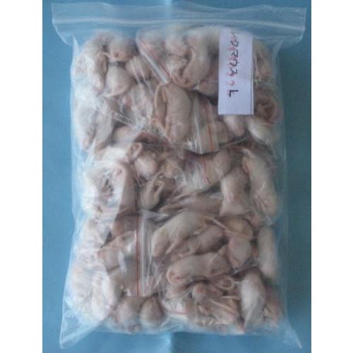 【爬虫類ビッグセール】 冷凍ピンクマウスL (約４cm) 1500匹入り 両生類 猛禽類 爬虫類食 ヘビ マウス ラット ねずみ エサ 餌 フード